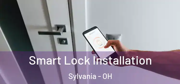 Smart Lock Installation Sylvania - OH