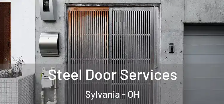  Steel Door Services Sylvania - OH