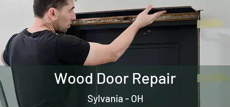  Wood Door Repair Sylvania - OH
